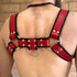 Stronghold Bulldog Harness